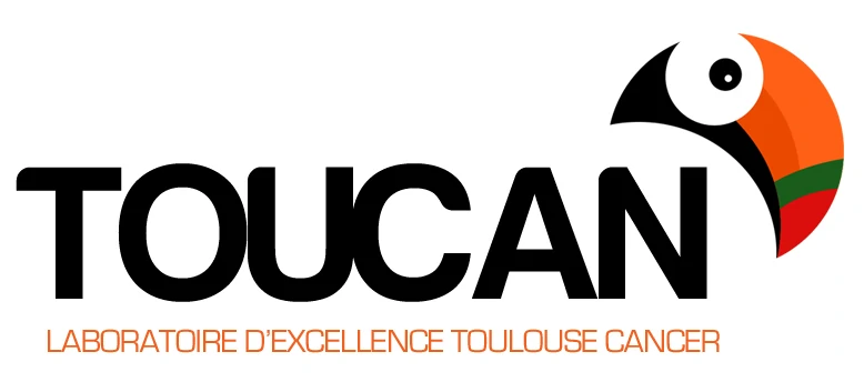 Toucan logo