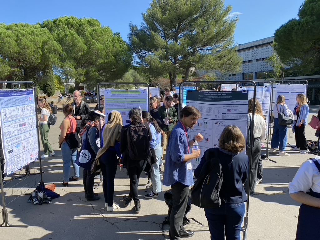 Poster session picture