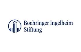 BI Stiftung logo